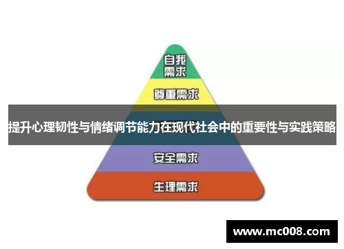 提升心理韧性与情绪调节能力在现代社会中的重要性与实践策略